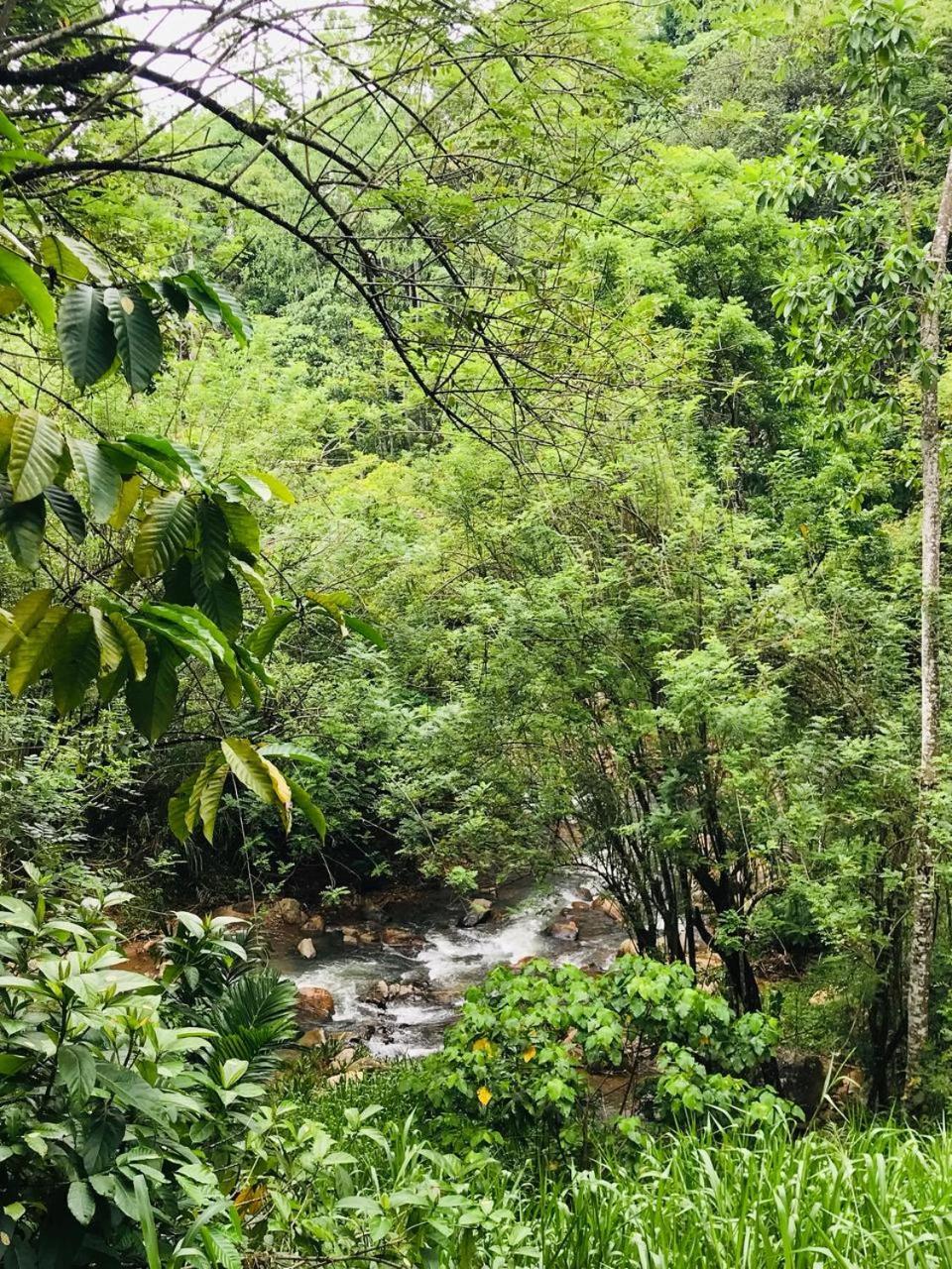 Horizon View Bed & Breakfast Kandy Bagian luar foto